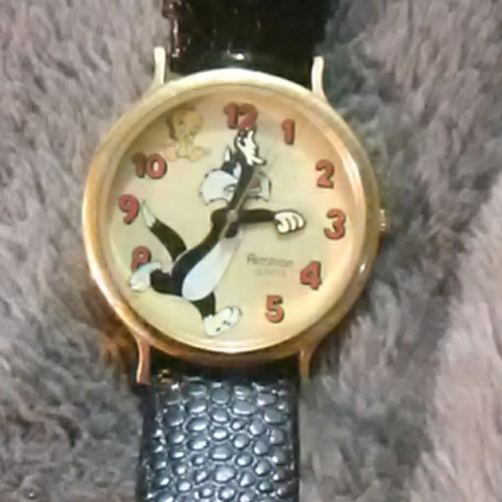 Armitron LooneyTunes watch